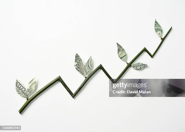 branch with money leaves resembling a graph - chart branch stock pictures, royalty-free photos & images