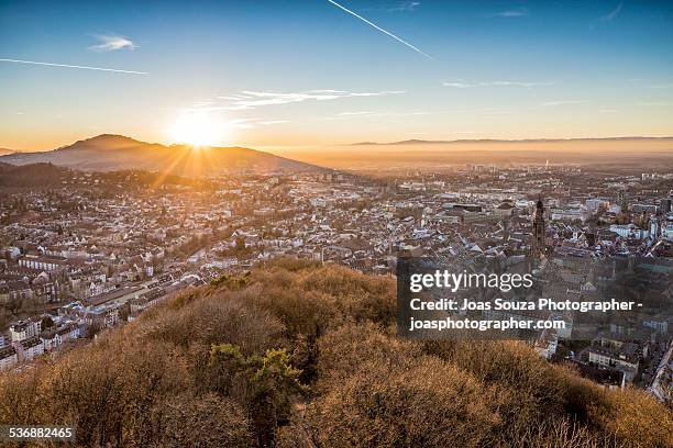 freiburg im breisgau - joas souza ストックフォトと画像