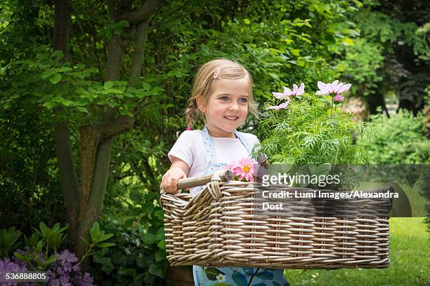 girl gardening, carrying flowers in basket - alexandra dost stock-fotos und bilder