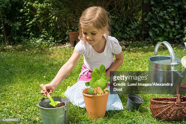 little girl gardening, potting plants with care - alexandra dost stock-fotos und bilder