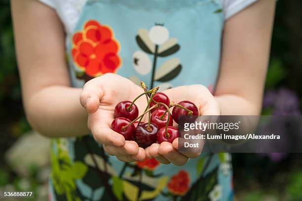 girl holding cherries in her hands - alexandra dost stock-fotos und bilder