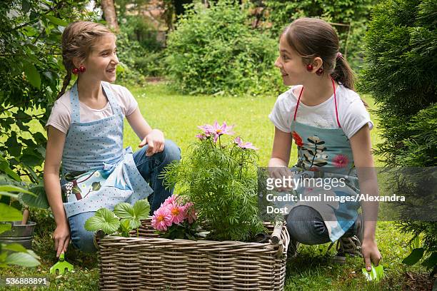 two girls with flowers in a basket planting together - alexandra dost stock-fotos und bilder