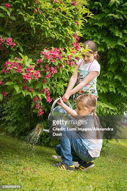 two girls gardening, watering flowers together - alexandra dost stock-fotos und bilder