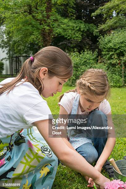 two girls gardening, planting flowers together - alexandra dost stock-fotos und bilder
