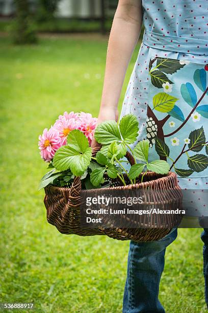 girl gardening, carrying basket with flowers - alexandra dost stock-fotos und bilder