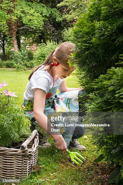 girl gardening, working with small rake - alexandra dost stock-fotos und bilder