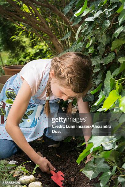 girl gardening, working carefully with trowel - alexandra dost stock-fotos und bilder
