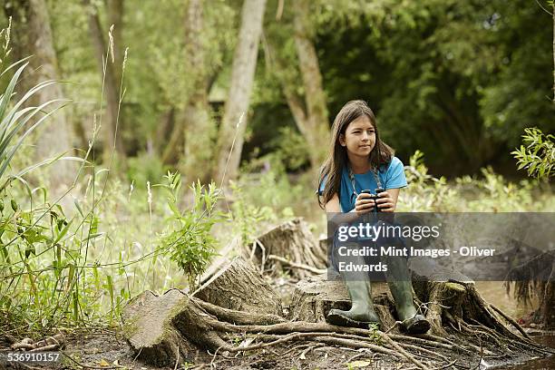 girl birdwatching. sitting on a tree stump holding binoculars. - viewing binoculars stock pictures, royalty-free photos & images