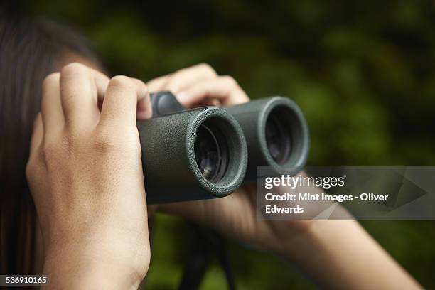 a young girl with bird watching binoculars. - bird watching stock pictures, royalty-free photos & images