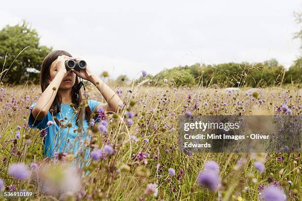 a girl holding binoculars, a young bird watcher standing in a meadow of tall grass and wild flowers. - child with binoculas stockfoto's en -beelden