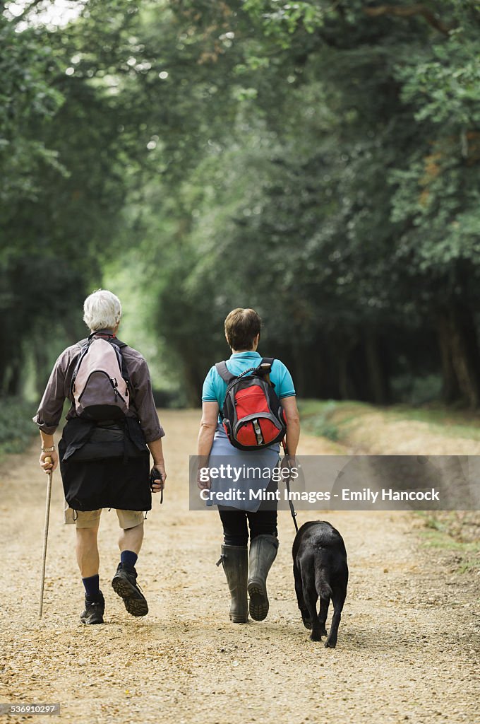 A mature couple hiking with their dog.