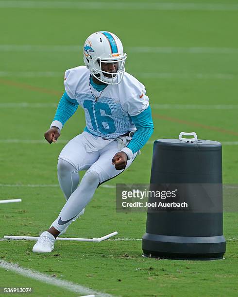 Tyler Murphy of the Miami Dolphins runs a drill during the team's OTAs on June 1, 2016 at the Miami Dolphins training facility in Davie, Florida.