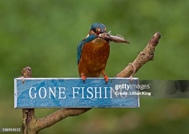 got my fish! - gone fishing sign stockfoto's en -beelden