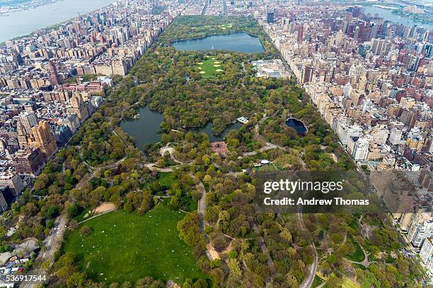 central park from above - above central park stockfoto's en -beelden