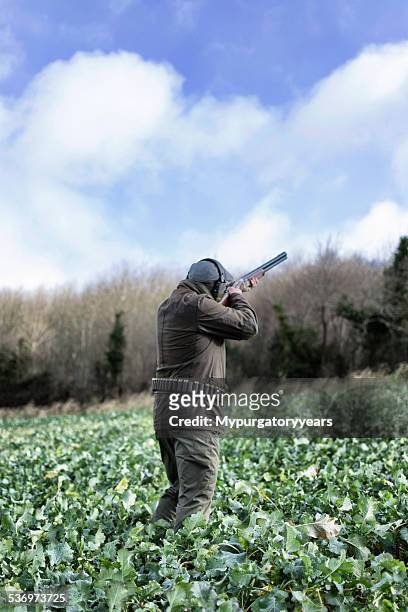 ready to fire - gamebird stock pictures, royalty-free photos & images