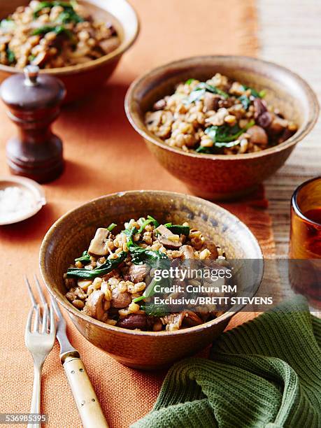 mushroom barley risotto, wilted spinach, salt, pepper and  swiss brown mushrooms - risotto stock pictures, royalty-free photos & images