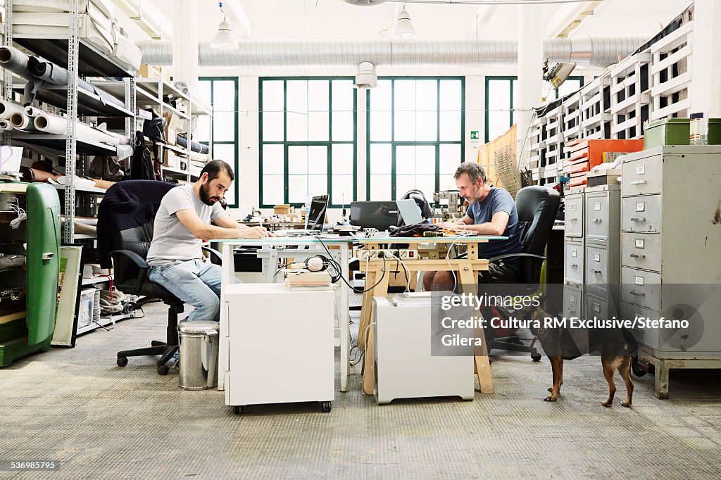 Two mid adult men sitting at desk, using laptops