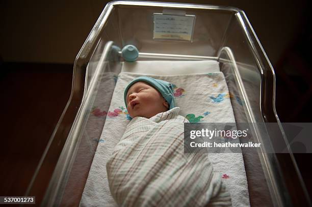 newborn baby sleeping in hospital crib - baby crib stockfoto's en -beelden