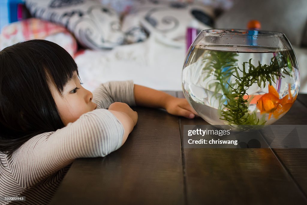 Girl looking at fishbowl