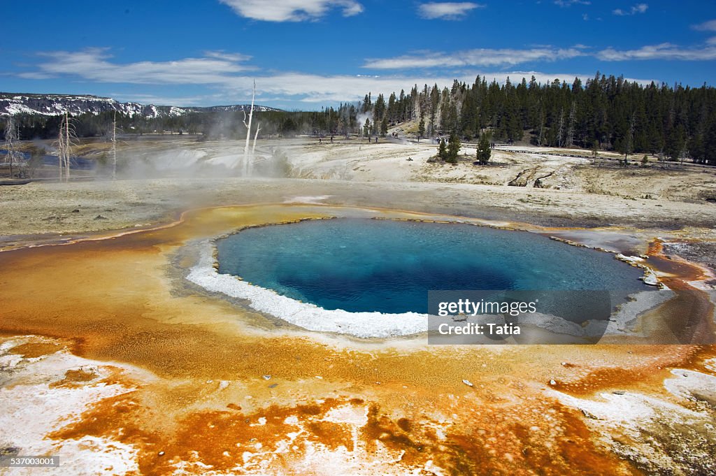 USA, Wyoming, Yellowstone National Park, Opal pool in Midway Geyser Basin