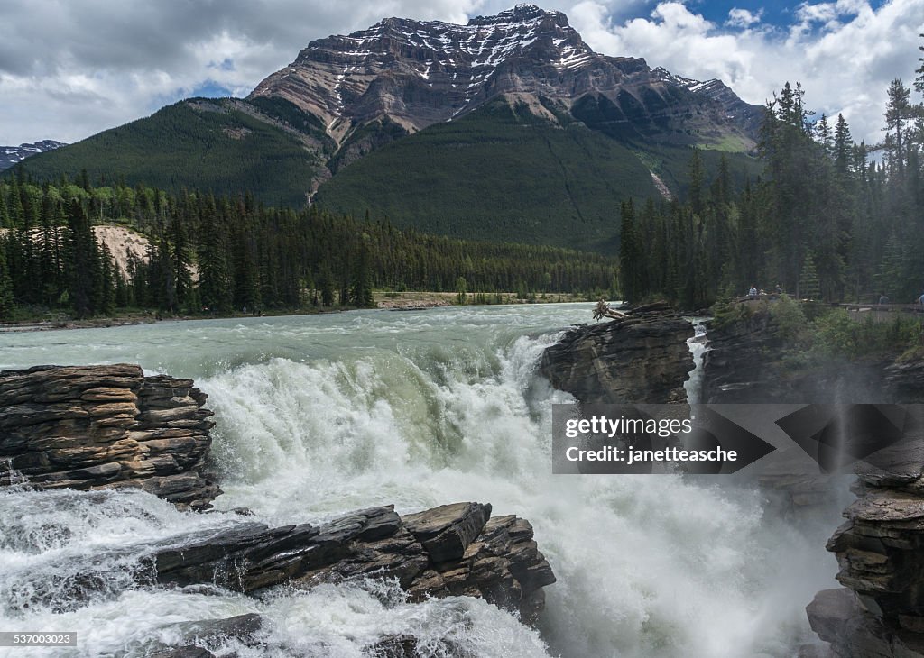 Canada, Alberta, Jasper National Park, View of Athabasca Falls and Mt Kerkeslin in background