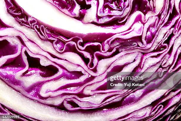 section of the red cabbage - cut cabbage stock pictures, royalty-free photos & images