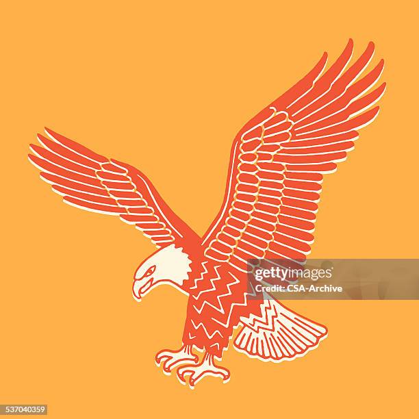 american eagle - bald eagle stock-grafiken, -clipart, -cartoons und -symbole