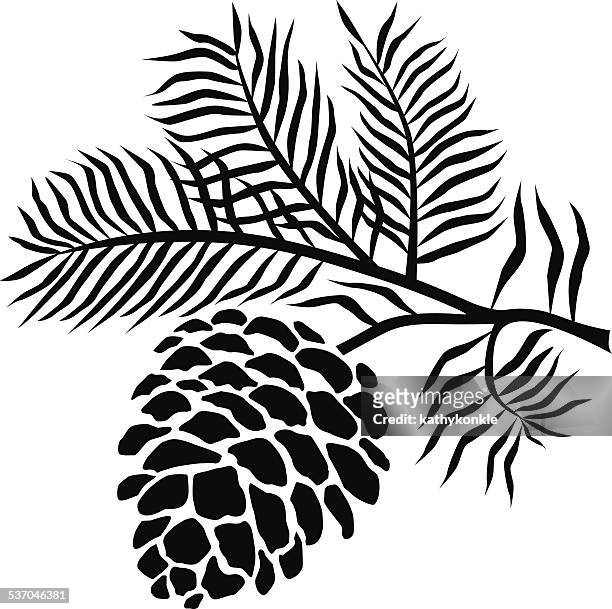 pinecone on branch in black and white - coniferous tree 幅插畫檔、美工圖案、卡通及圖標