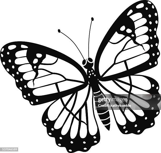 viceroy butterfly in black and white - viceroy stock illustrations