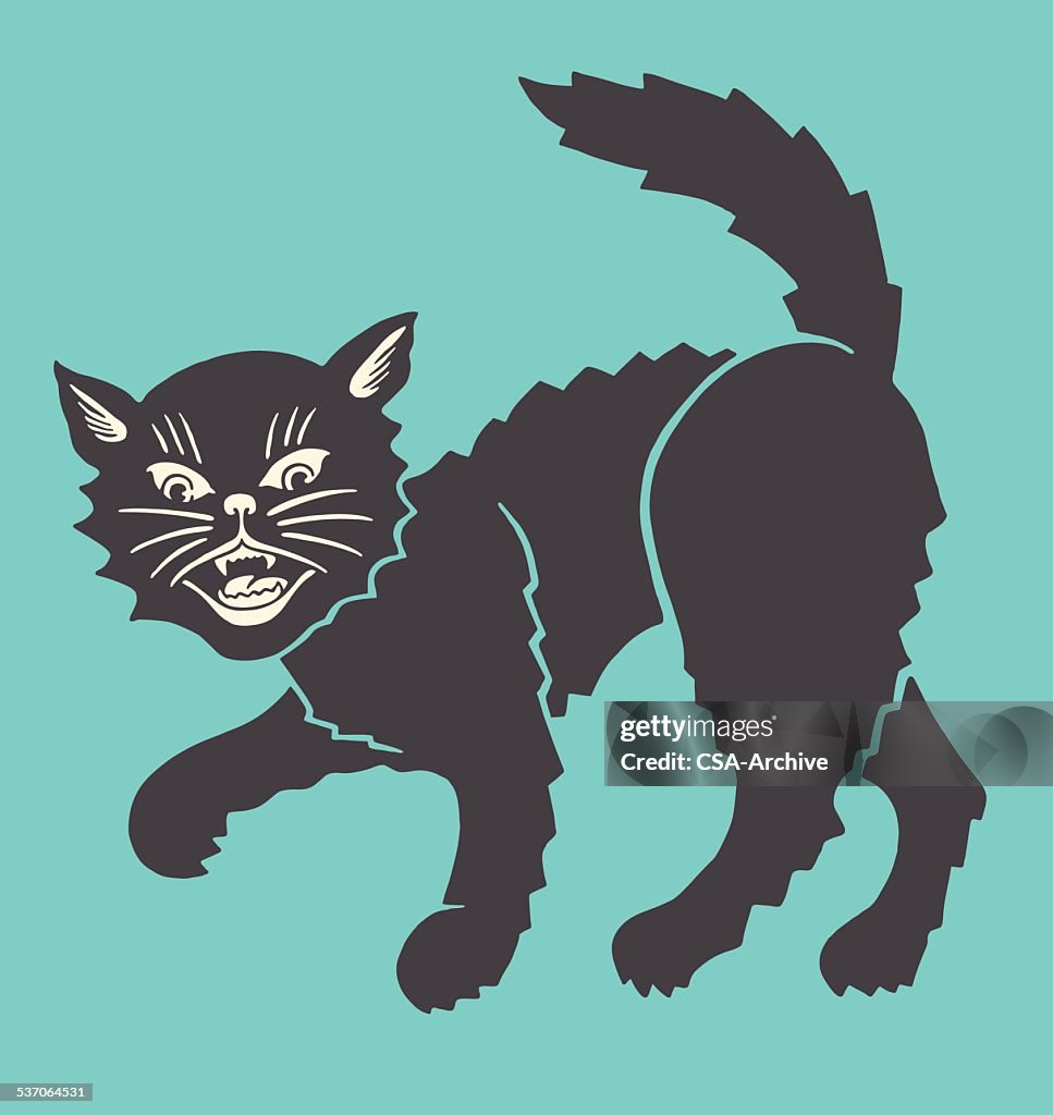 Angry Cat High-Res Vector Graphic - Getty Images