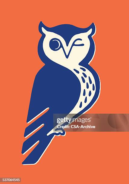 zwinkern eule - felsmalerei stock-grafiken, -clipart, -cartoons und -symbole