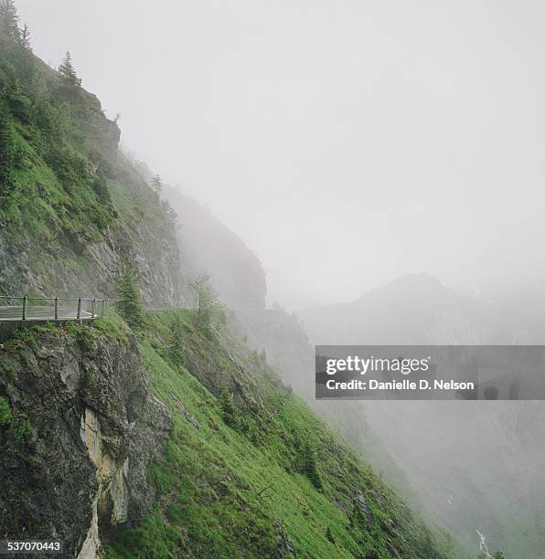 Cliffside Rd Top View 189 Cliffside Road Stock Photos, High-Res Pictures, and Images - Getty ...
