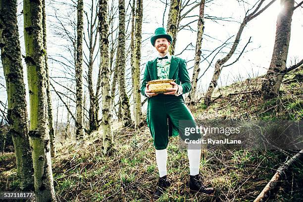 leprechaun man with pot of gold - leprechaun stock pictures, royalty-free photos & images