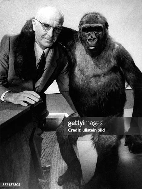 Bernhard Grzimek,Bernhard Grzimek , Zoologe, D, Porträt mit einem Gorilla, - 1969