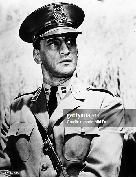 137 Scott Graham Photos & High Res Pictures Getty Images