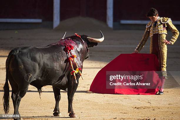 Bullfigther Sebastian Castella performs during the San Isidro bullfight fair at Las Ventas bullring on June 1, 2016 in Madrid, Spain.