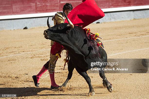 Bullfigther Sebastian Castella performs during the San Isidro bullfight fair at Las Ventas bullring on June 1, 2016 in Madrid, Spain.