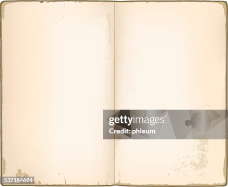 Blank pages in old notebook Blank pages in old notebook