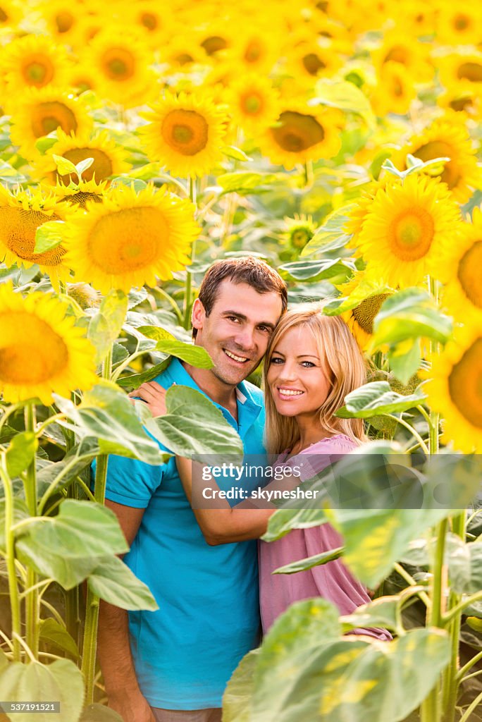 Happy couple among sunflowers.