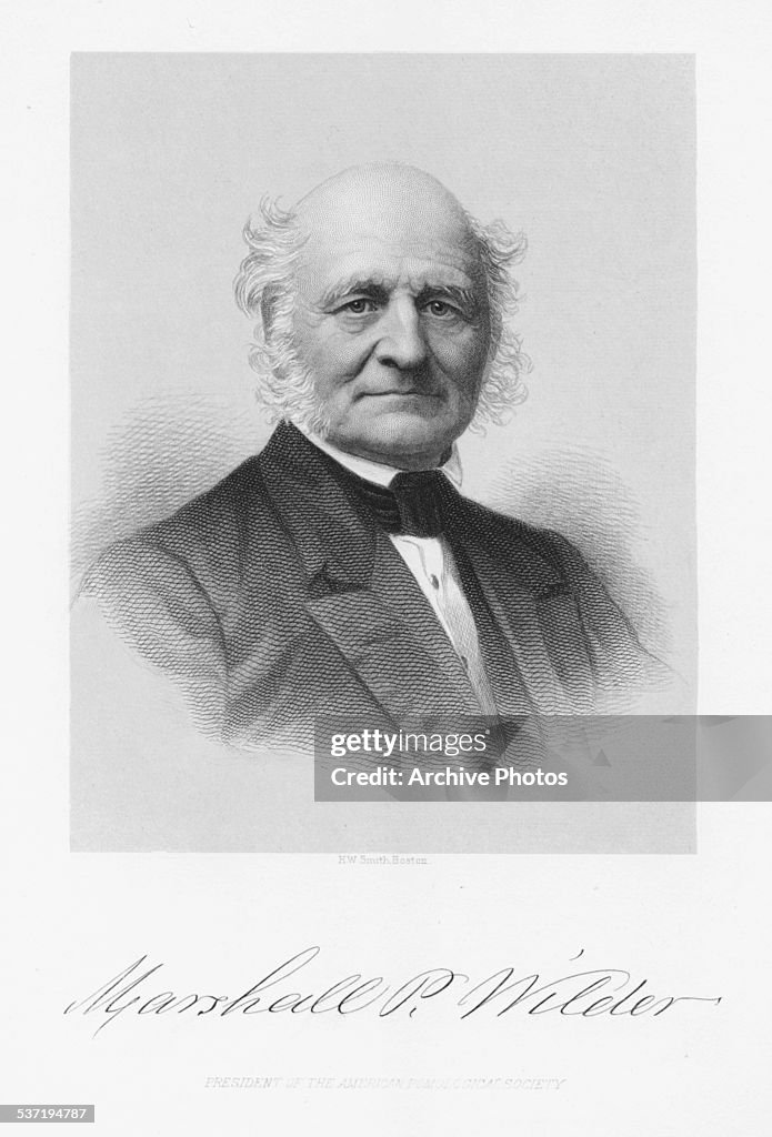 Marshall Pinckney Wilder