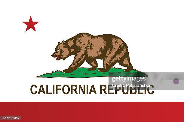 flag of california - california flag stock illustrations