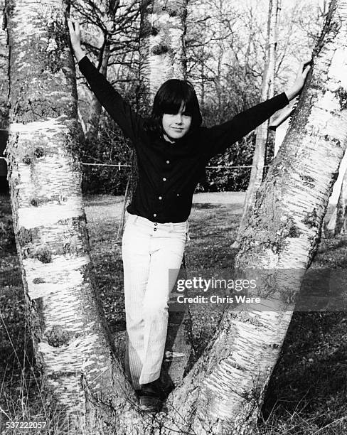 Portrait of pop singer Ricky Wilde perched on a birch tree, in the garden of his family home in Tewin, England, circa 1972.