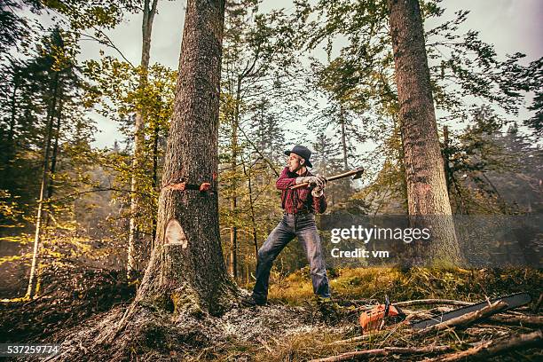 leñador en el trabajo - hacha fotografías e imágenes de stock