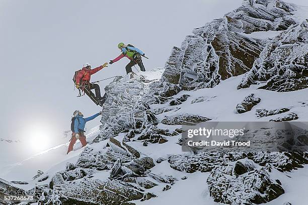 trekking in the austrian alps - mountaineering team stock pictures, royalty-free photos & images