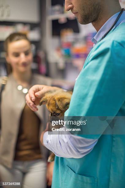 veterinarian stroking pekingese puppy - medical scrubs texture stock pictures, royalty-free photos & images