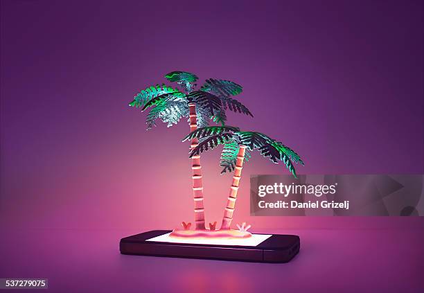 leisure - plant studio shot stock pictures, royalty-free photos & images
