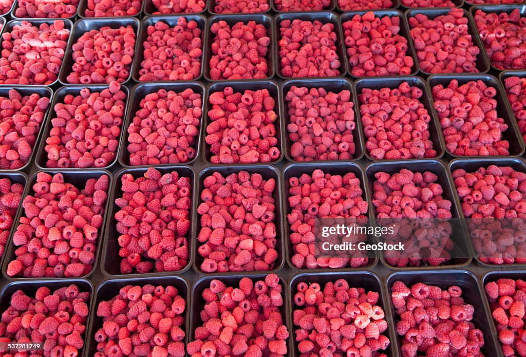 Cartons of raspberries for sale
