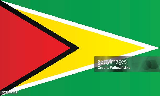 flag of guyana - guyana flag stock illustrations