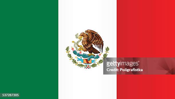 stockillustraties, clipart, cartoons en iconen met flag of mexico - mexican flag