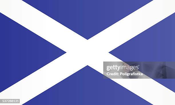 flagge von schottland - scotland stock-grafiken, -clipart, -cartoons und -symbole